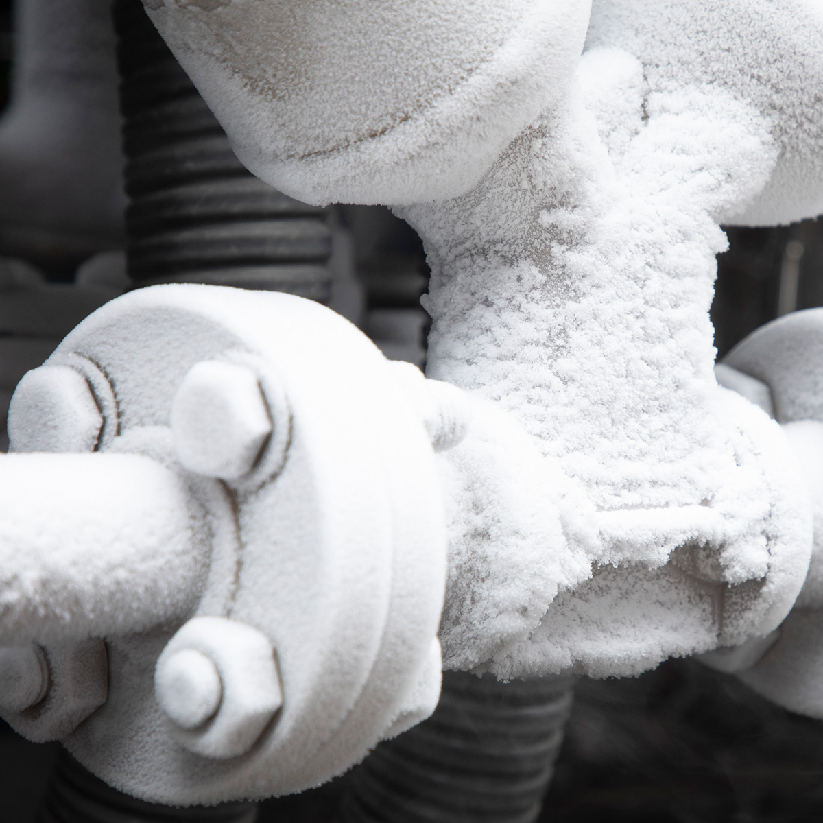 Carlos Boone de Nova | Director de Cadena de Suministro